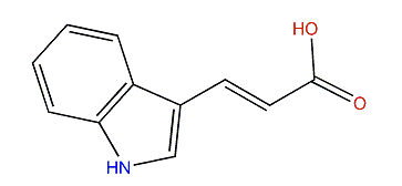 3-(1H-Indol-3-yl)-acrylic acid